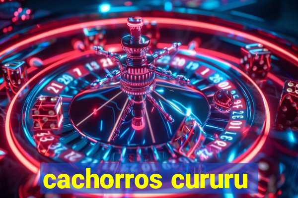 cachorros cururu